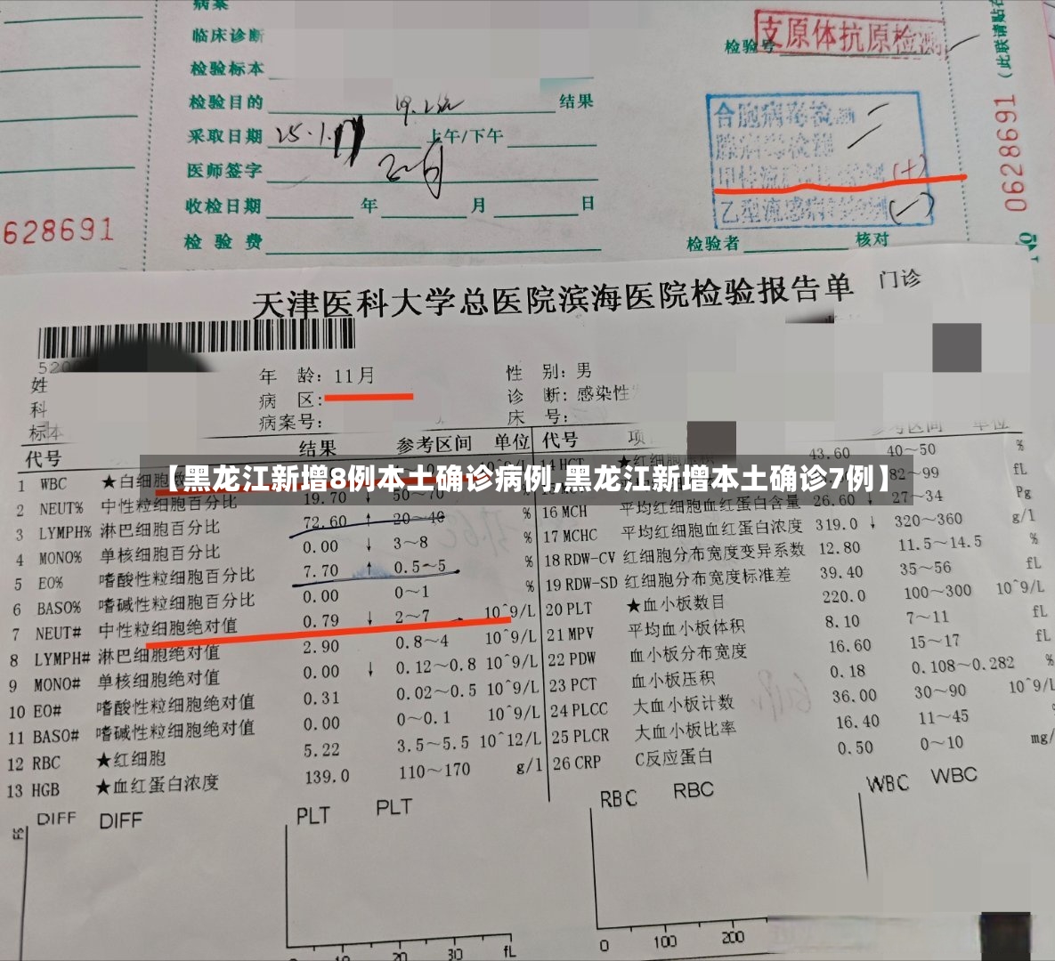 【黑龙江新增8例本土确诊病例,黑龙江新增本土确诊7例】-第3张图片