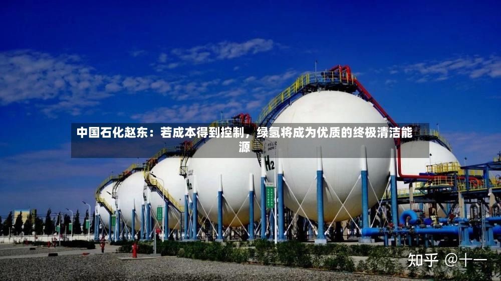 中国石化赵东：若成本得到控制，绿氢将成为优质的终极清洁能源-第2张图片