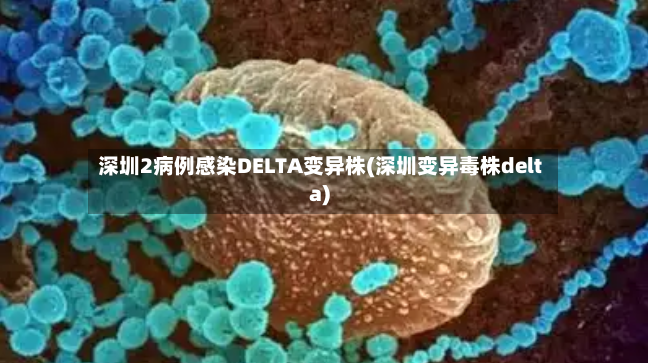 深圳2病例感染DELTA变异株(深圳变异毒株delta)