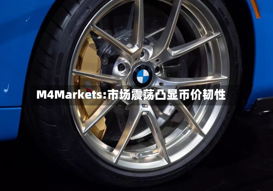 M4Markets:市场震荡凸显币价韧性-第2张图片
