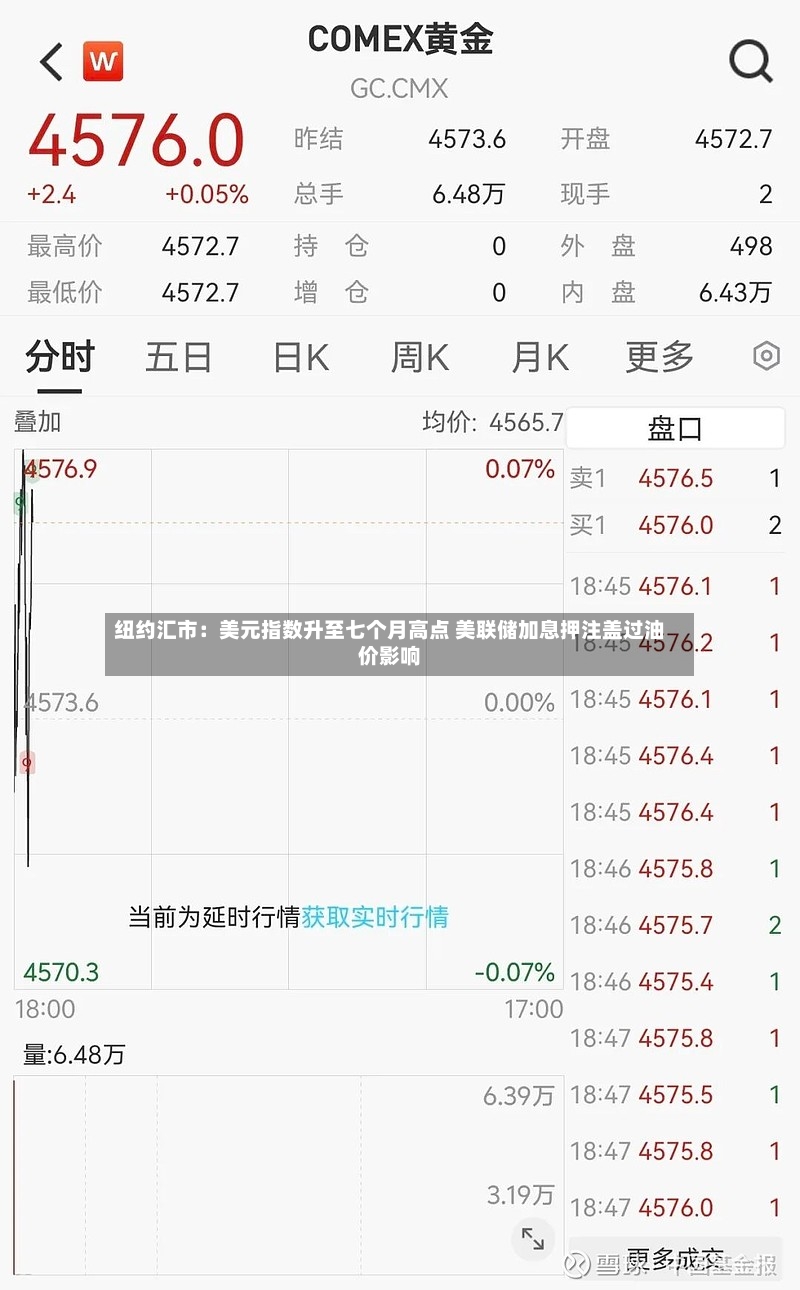 纽约汇市：美元指数升至七个月高点 美联储加息押注盖过油价影响-第2张图片