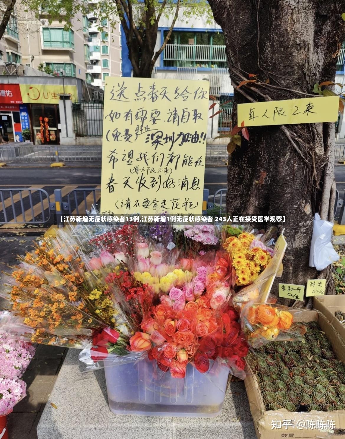 【江苏新增无症状感染者13例,江苏新增1例无症状感染者 243人正在接受医学观察】