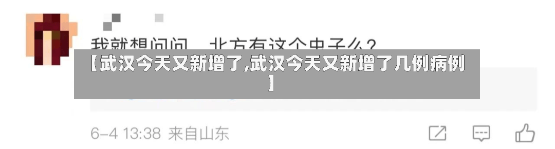 【武汉今天又新增了,武汉今天又新增了几例病例】-第2张图片