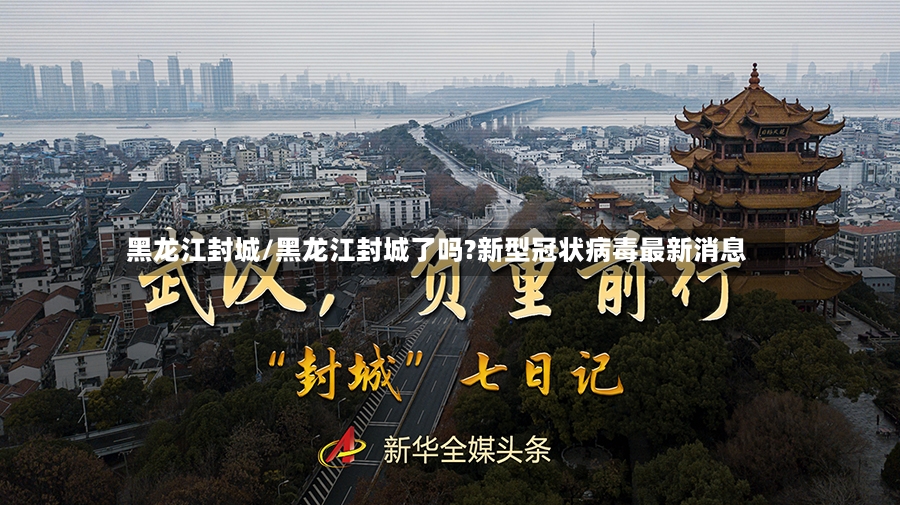 黑龙江封城/黑龙江封城了吗?新型冠状病毒最新消息-第3张图片