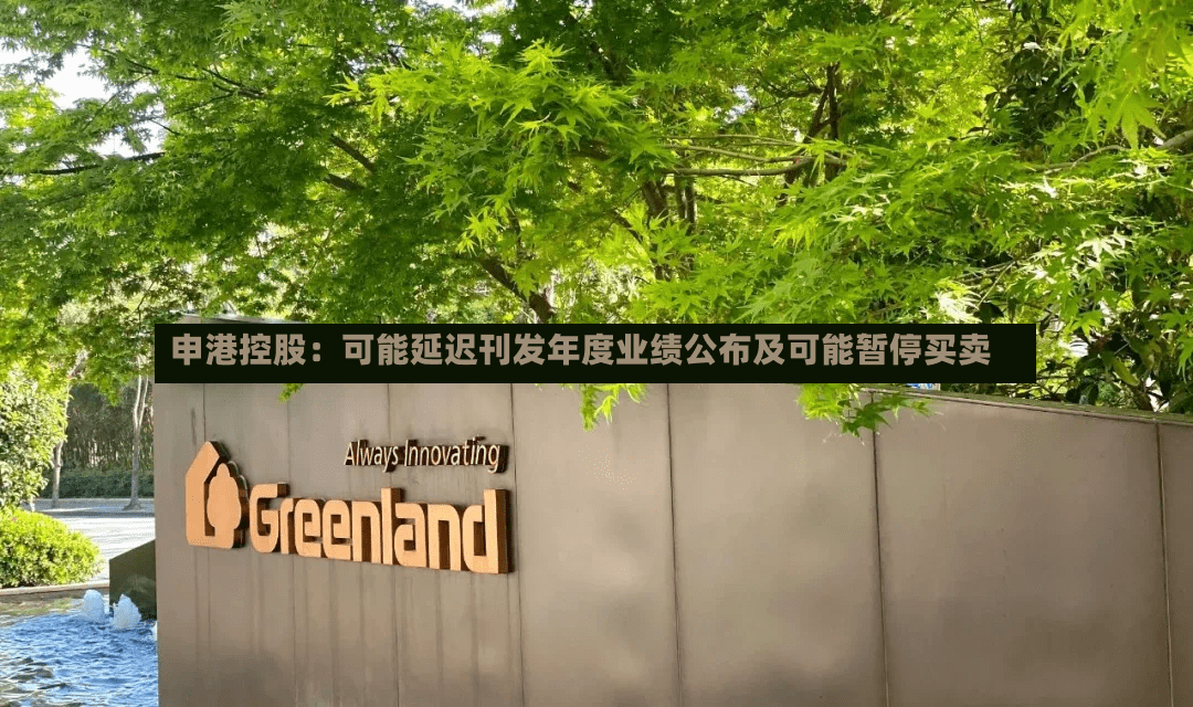申港控股：可能延迟刊发年度业绩公布及可能暂停买卖-第2张图片