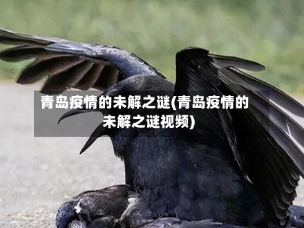 青岛疫情的未解之谜(青岛疫情的未解之谜视频)
