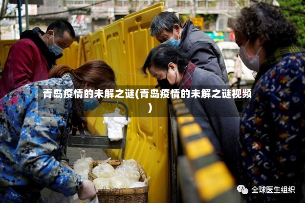 青岛疫情的未解之谜(青岛疫情的未解之谜视频)-第3张图片