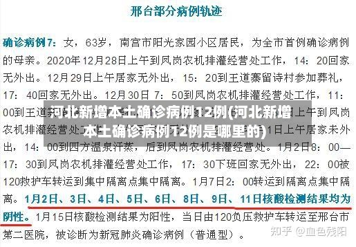 河北新增本土确诊病例12例(河北新增本土确诊病例12例是哪里的)-第2张图片