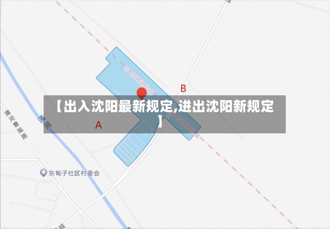 【出入沈阳最新规定,进出沈阳新规定】-第2张图片