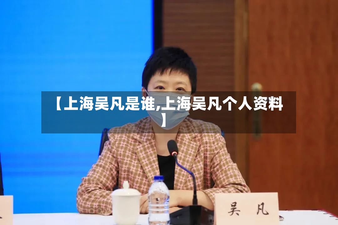 【上海吴凡是谁,上海吴凡个人资料】-第3张图片