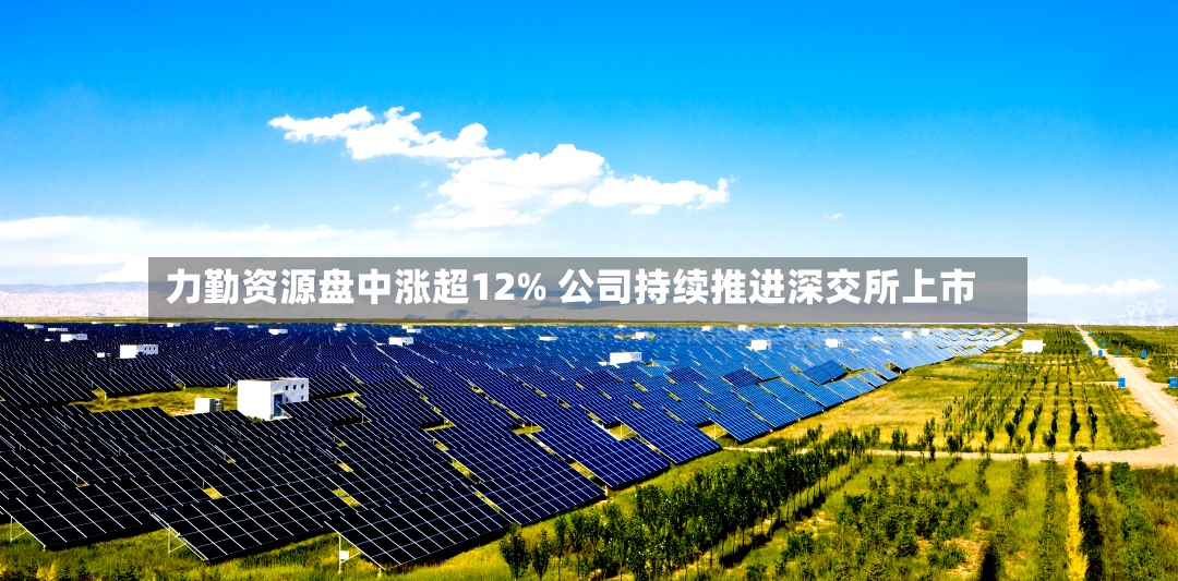 力勤资源盘中涨超12% 公司持续推进深交所上市