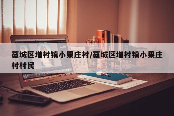 藁城区增村镇小果庄村/藁城区增村镇小果庄村村民